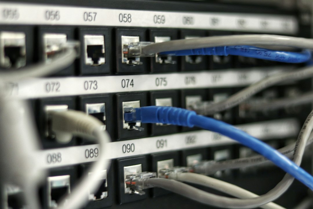 Cables de rede conectados